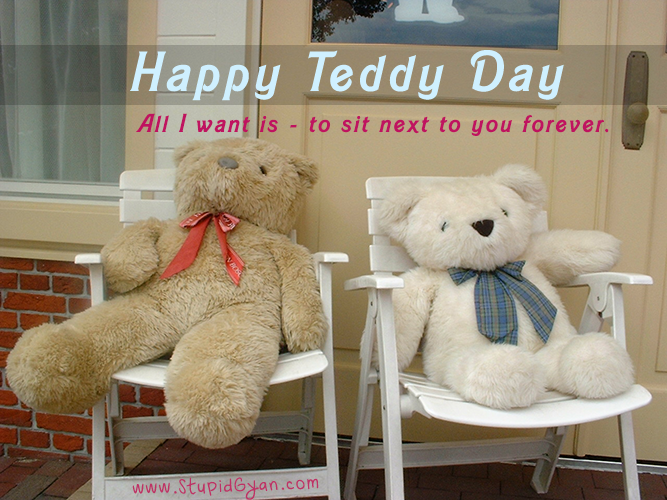10 feb teddy day