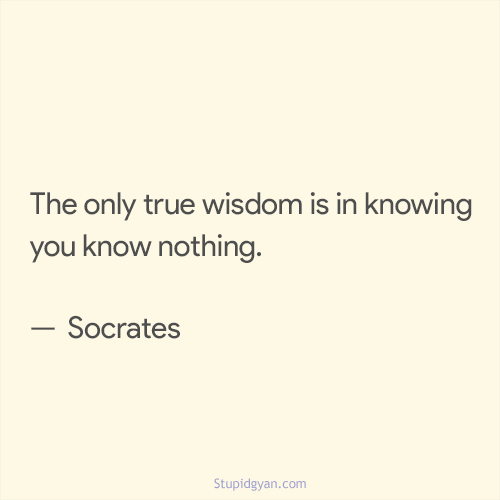 The only true wisdom is in knowing you know nothing. — Socrates | Stupidgyan.com